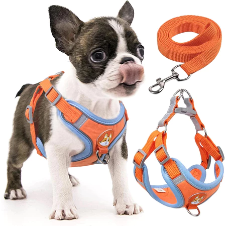 Imagem 1 do produto Coleira Peitoral com Guia para Cães Pequenos