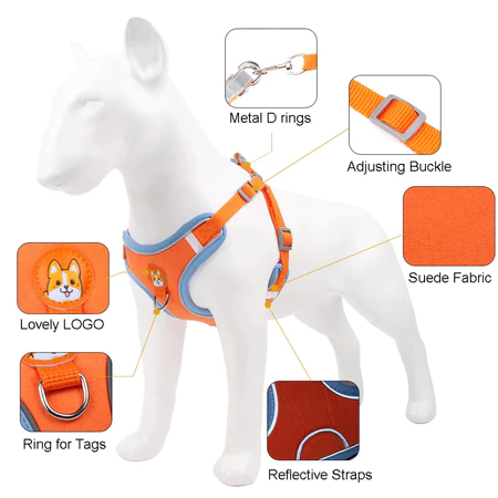 Imagem 3 do produto Coleira Peitoral com Guia para Cães Pequenos