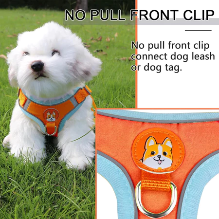 Imagem 4 do produto Coleira Peitoral com Guia para Cães Pequenos