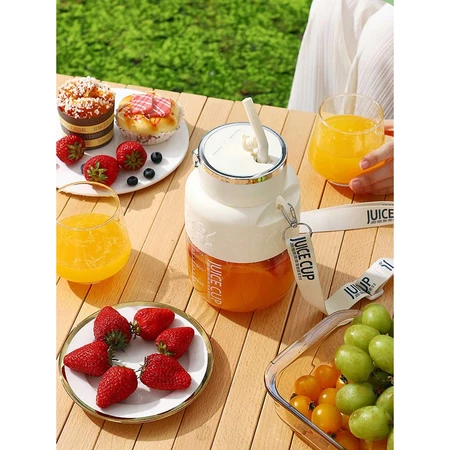Liquidificador Portátil Multifuncional 800ml