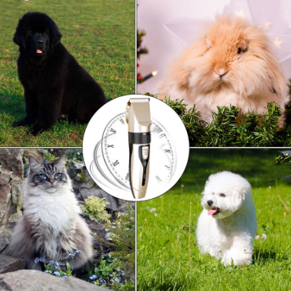 Imagem 4 do produto Máquina de Tosar Pet Profissional