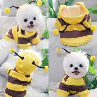 Roupas para Cães Abelhas Outono
